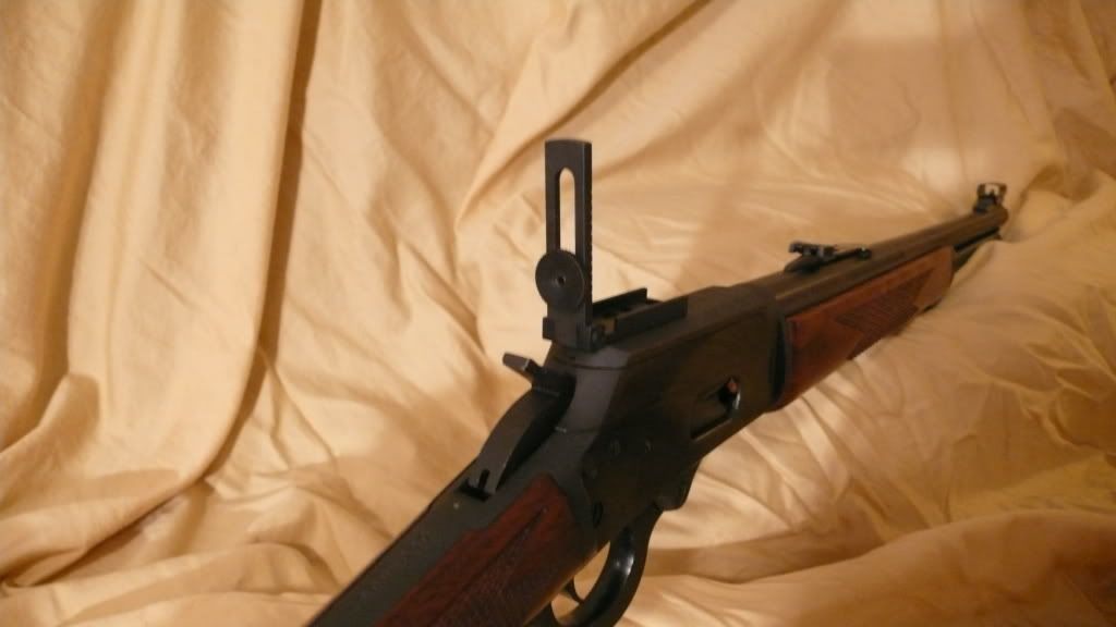 Skinner ladder sight on 1894S