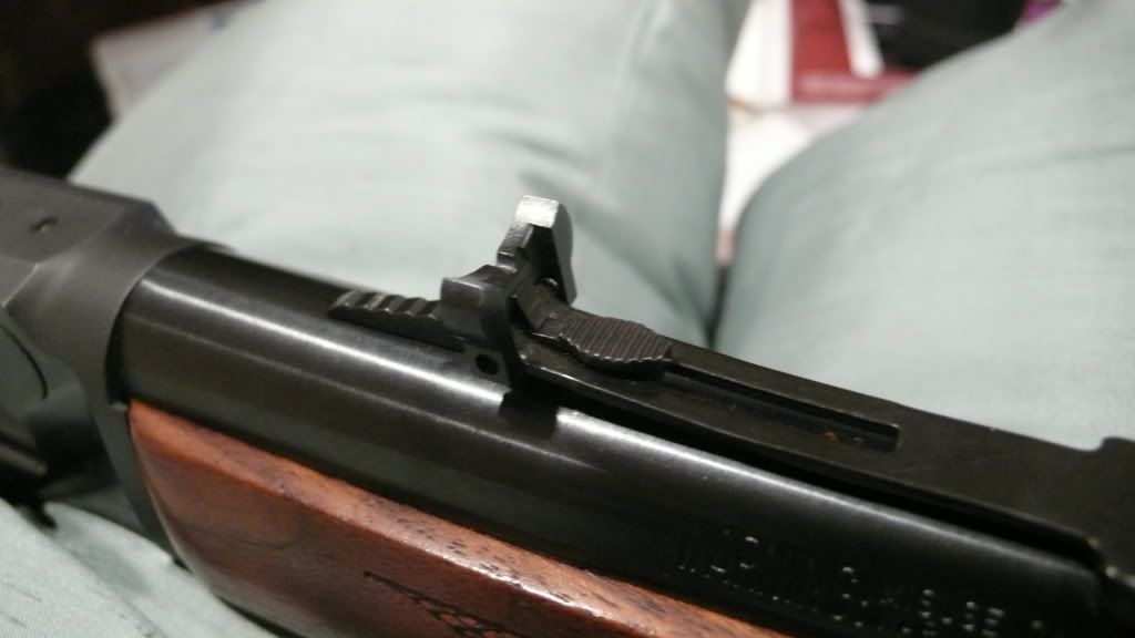 Skinner ladder sight on 1894S
