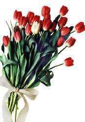 desculpa12a.jpg picture by Assinaturas_2007