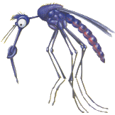 Mosquita.gif