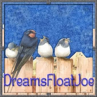 _birds_on_fence_DreamsFloatJoeTBS_0.jpg