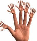 hands31.jpg