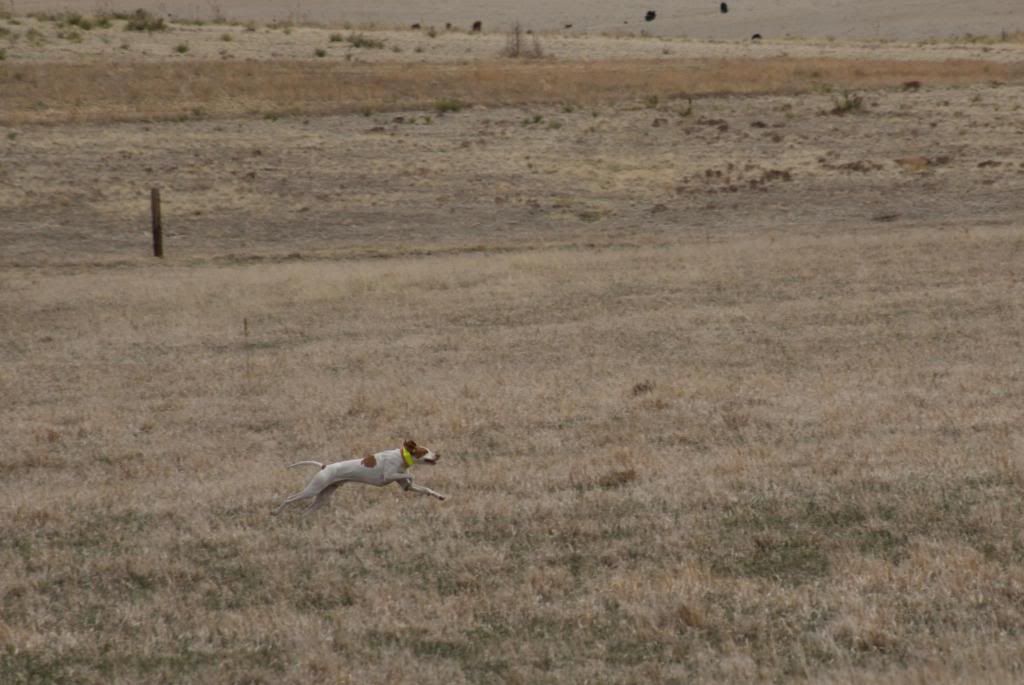 fieldtrial_zpsfd8f3cfa.jpg