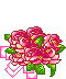 https://i181.photobucket.com/albums/x134/sunya_24/rosessq1.gif
