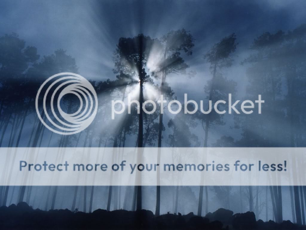 Photo Sharing and Video Hosting at Photobucket