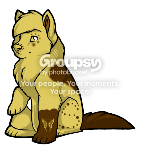User Image