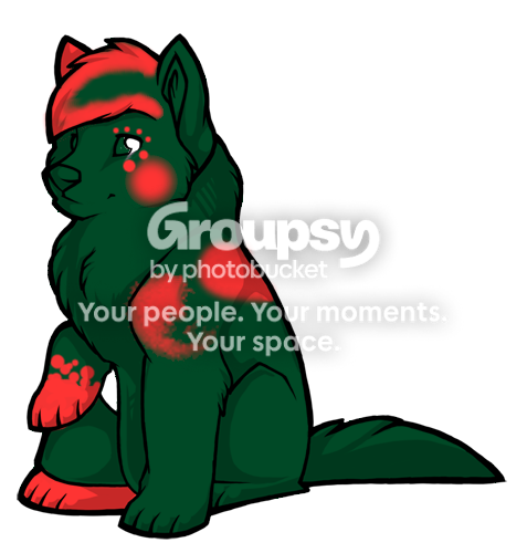 User Image
