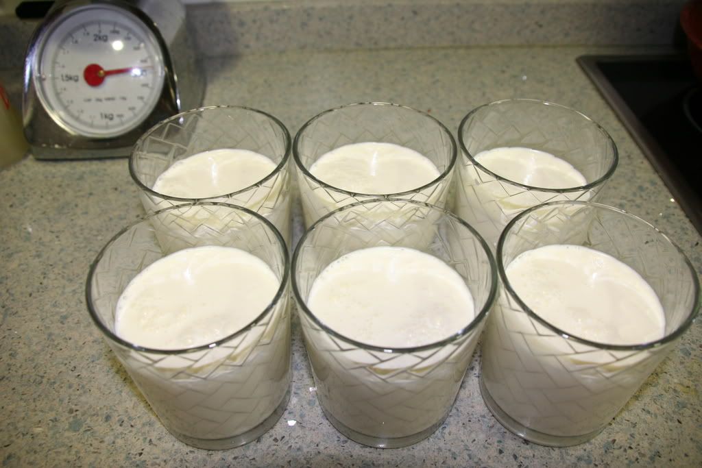 fotoeva009.jpg